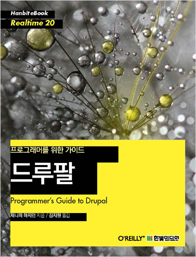 드루팔(Drupal) : 프로그래머를 위한 가이드